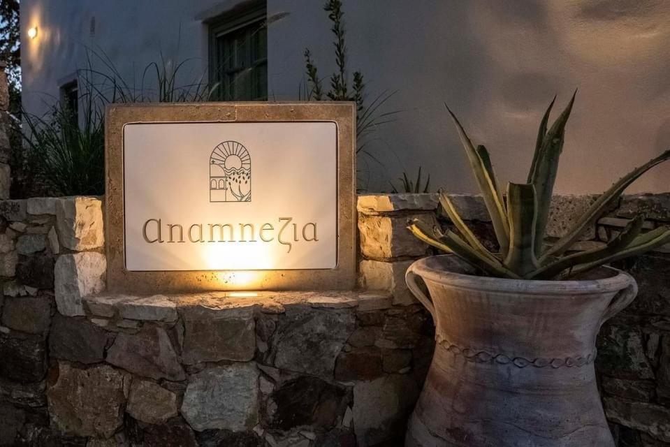 Anamnezia Luxury Suites (Adults Only) Agios Dimitrios  外观 照片