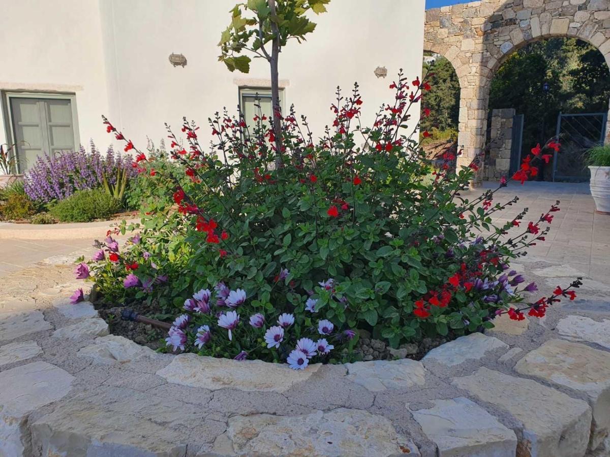 Anamnezia Luxury Suites (Adults Only) Agios Dimitrios  外观 照片